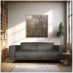 2 zitsbank - Lambada - leer Colorado antraciet 01