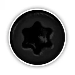 Deckwise Schroeven RVS platte kop T15 - Zwart (100 stuks)