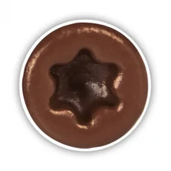 Deckwise Schroeven RVS platte kop T15 - Bruin (100 stuks)