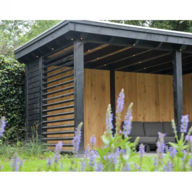 HomingXL Houten overkapping - Douglas - 300 x 300 cm