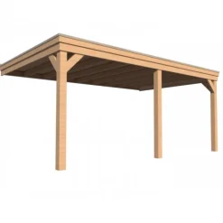HomingXL Houten Veranda - Douglas - 300 x 500 cm