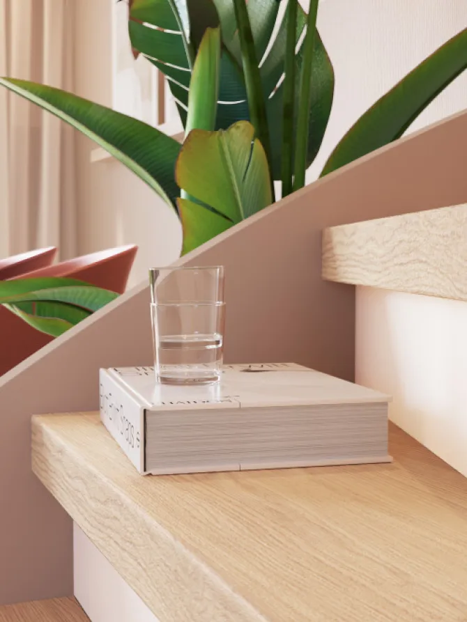 Overzettrede met neus - Laminaat - Beige eiken