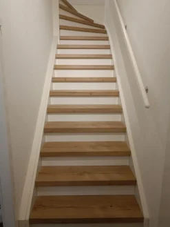 Overzettrede met neus - Laminaat - Licht eiken