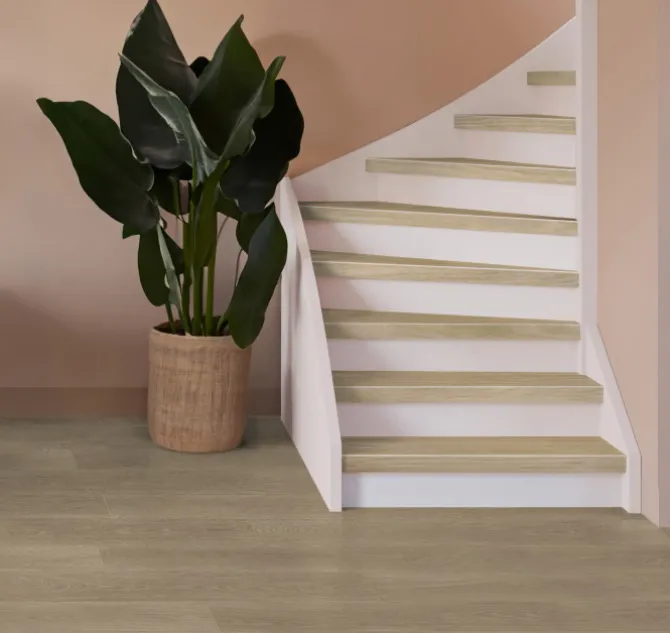 Overzettrede met neus - SPC - Natuur Eiken