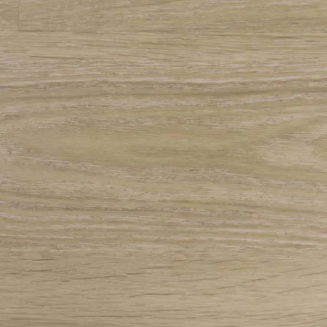 Overzettrede met neus - SPC - Natuur Eiken