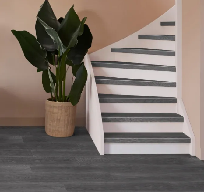 Overzettrede met neus - SPC - Antraciet Eiken