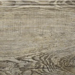 Overzettrede met neus - SPC - Verweerd Eiken