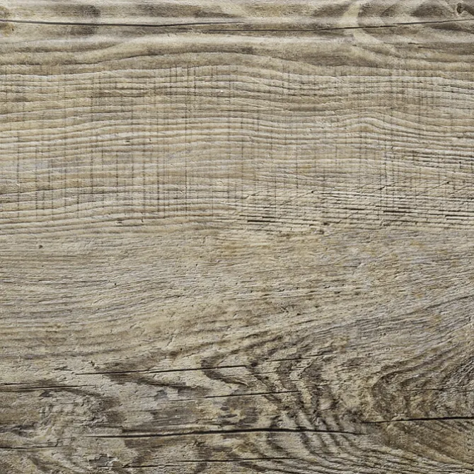 Overzettrede met neus - SPC - Verweerd Eiken