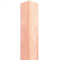 Paal Douglas 90 x 90 mm gezaagd