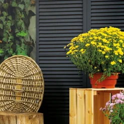 Schutting shutter hardhout keruing met verstelbare lamellen zwart (90 x 180 cm)