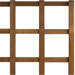 Trellis scherm hardhout keruing recht (180 x 180 cm)