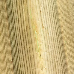 Vlonderplank geïmpregneerd Grenen licht groen 2,1 x 14,5 cm groef/vlak